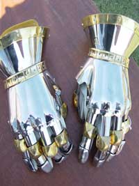 Stainless Finger Gauntlets